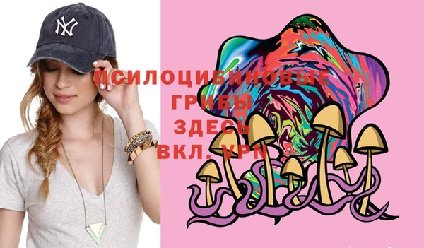а пвп мука Гусь-Хрустальный