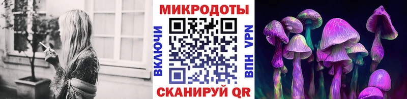Галлюциногенные грибы Magic Shrooms  Купить где  Рыльск 